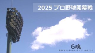 2025プロ野球開幕戦