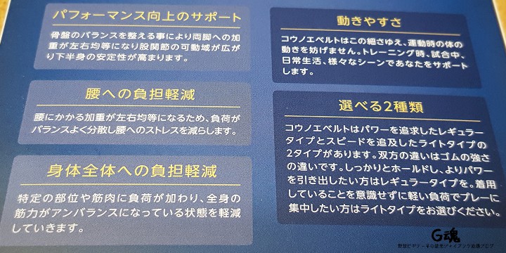 コウノエベルト特徴とレギュラー・ライトの違い